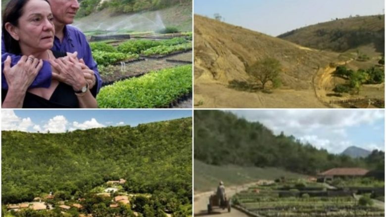 Çifti bashkëshortor mbjellën katër milionë fidane, tokën djerrinë e shndërruan në mal – historia e tyre ka frymëzuar shumë njerëz (Foto/Video)  