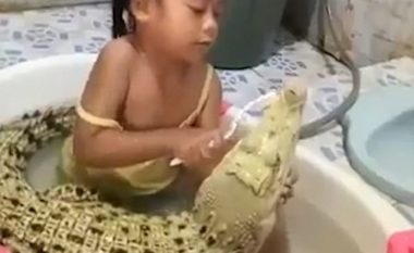 Vogëlushja filmohet duke ia pastruar dhëmbët krokodilit, pamjet bëjnë xhiron e botës (Video)