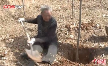 Veterani kinez me këmbë të amputuara mbjellë 17 mijë pemë për 19 vite, hapësirën e shndërron në mal (Video)