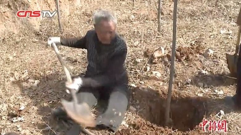 Veterani kinez me këmbë të amputuara mbjellë 17 mijë pemë për 19 vite, hapësirën e shndërron në mal (Video)
