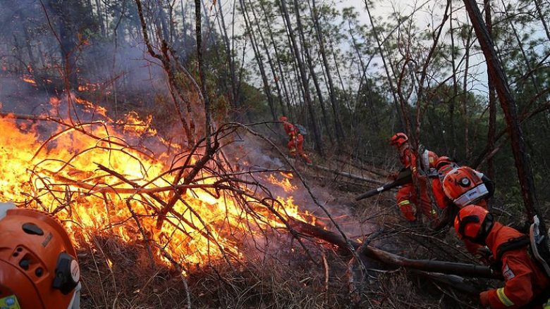 Rusi, 14 fshatra përfshihen nga zjarri