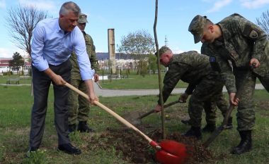 Thaçi: Njerëzimi po e shkatërron natyrën