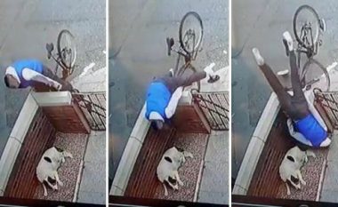 Çiklisti nuk e zuri kthesën dhe u rrotullua në një mur, qeni që ishte aty nuk e bëri asnjë lëvizje (Video)