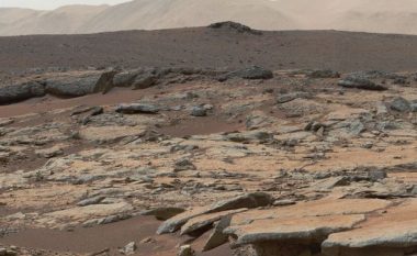 Kërkuesi i sipërfaqes së Marsit, pretendon se ka gjetur një pinguin nëpër planetin e kuq (Foto)