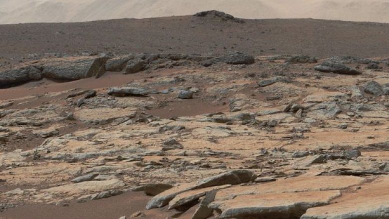 Kërkuesi i sipërfaqes së Marsit, pretendon se ka gjetur një pinguin nëpër planetin e kuq (Foto)