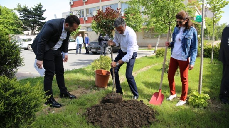 Pak para protestës, Lumezi mbjellë një pemë në kujtim të viktimave të krimit