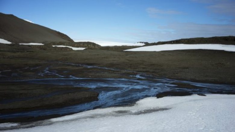 Ndryshimet klimatike po e gjelbërojnë sipërfaqen e Antarktikut (Foto)