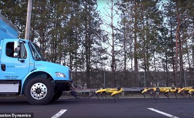 Robotët punuan së bashku për ta tërhequr një kamion (Video)