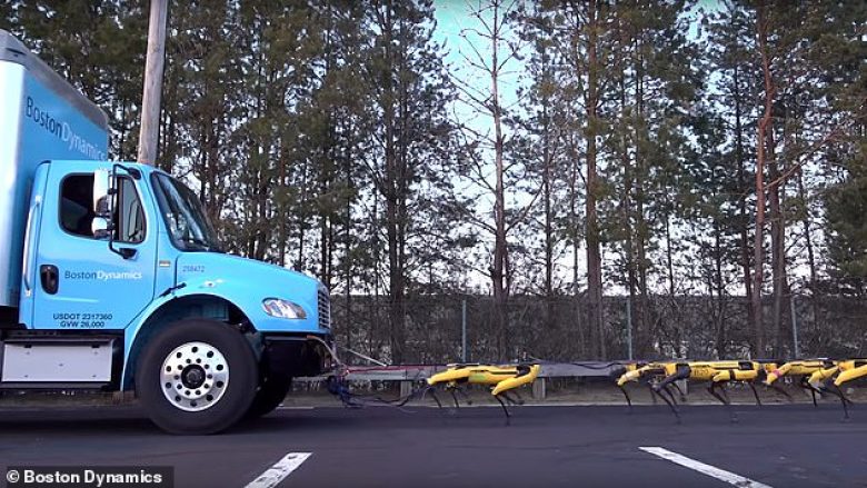 Robotët punuan së bashku për ta tërhequr një kamion (Video)