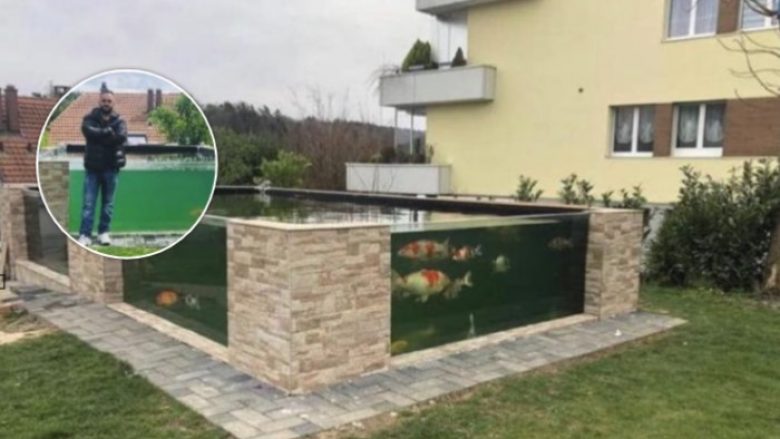 Shqiptari bëhet hit në mediat zvicerane: Ndërtoi pishinë për peshqit në oborrin e tij, vetëm njëri prej tyre kushton deri në 20 mijë franga (Foto/Video)