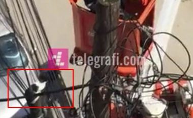 Shpëtohet macja që kishte ngelur në shtyllën e rrjetit elektrik në Prishtinë (Video)