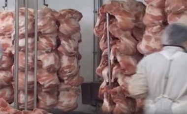Shqipëri, mishi i kafshëve me brucelozë dhe tuberkuloz përdoret për ushqimin e të burgosurve