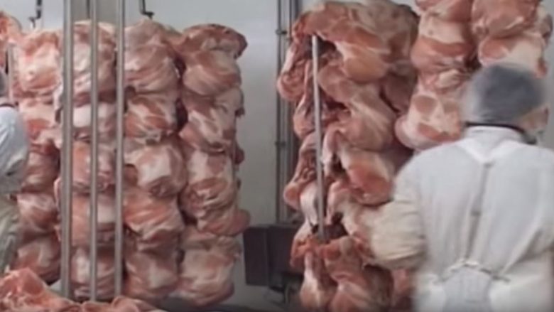 Shqipëri, mishi i kafshëve me brucelozë dhe tuberkuloz përdoret për ushqimin e të burgosurve