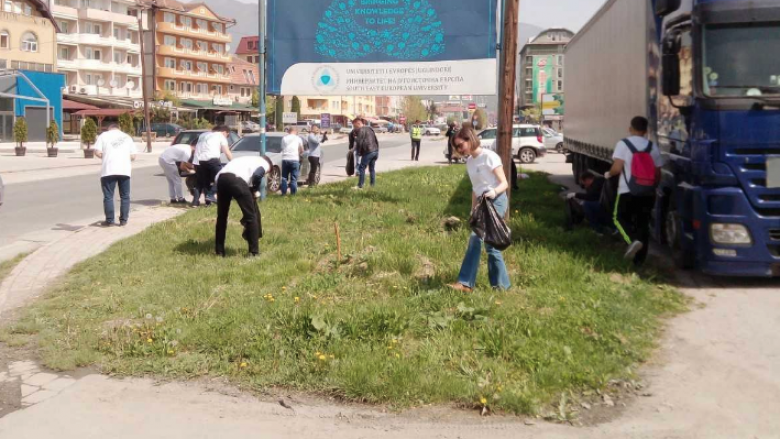 Tetovë, profesorët grumbulluan mbeturina për ngritje të vetëdijes ekologjike