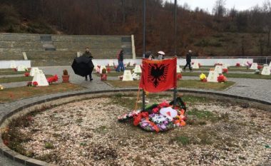 Familjarët e të rënëve në Betejën e Koshares: Institucionet na harruan