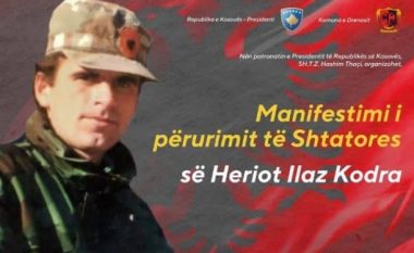 Lladrovci fton qytetarët në përurimin e shtatores së heroit Ilaz Kodra