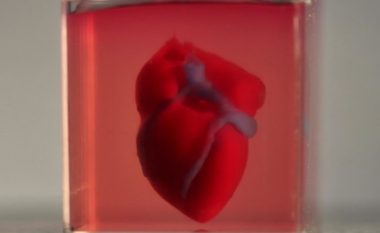 Shkencëtarët printojnë zemrën e parë 3D