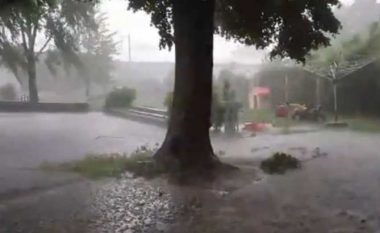 Erërat të forta dhe shiu i rrëmbyeshëm përfshijnë një pjesë të Serbisë, publikohen pamjet (Video)