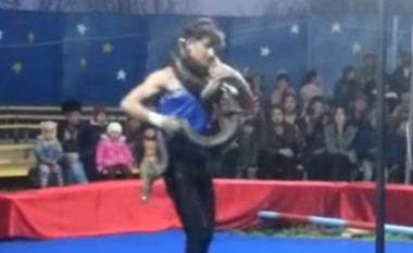 Publiku mendonte se ishte shaka, por jo – gjarpri “rrëmbeu” trajnerin e cirkut, derisa e rrëzoi pa ndenja në tokë (Video)