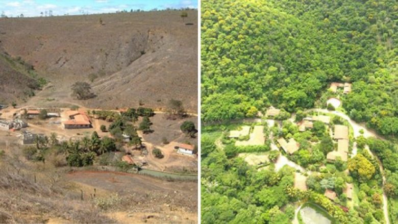 Mbollën mbi dy milionë drunjë gjatë 20 vitesh, tokën djerrinë e kthyen në mal të dendur (Video)
