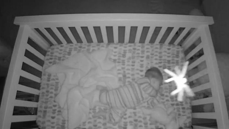 Merimanga gjigante u lëshua mbi një fëmijë që po flinte i qetë në krevat (Video)