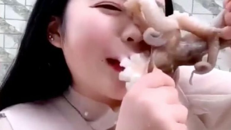 Oktopodin që donte ta hante të gjallë, blogeres iu ngjit për fytyre dhe nuk i largohej (Video)