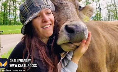 Qeveria austriake ndalon sfidën bizare e puthjes së lopëve (Video)