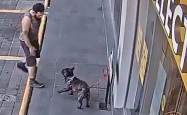 Vodhi qenin e lidhur para shitores, telefonoi pronarin dhe i kërkoi shpërblim për t’ja kthyer (Video)