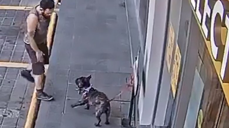 Vodhi qenin e lidhur para shitores, telefonoi pronarin dhe i kërkoi shpërblim për t’ja kthyer (Video)