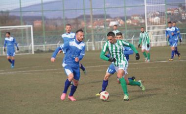 Llapi nikoqir i Feronikelit, Prishtina pret Trepça ’89