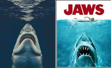 Kur posteri i filmit bëhet realitet, një fotograf kap imazhin e frikshëm të peshkaqenit ashtu si në kopertinën e “Jaws”
