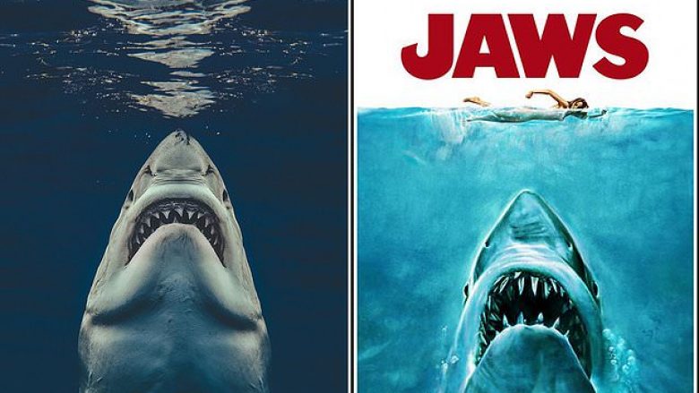 Kur posteri i filmit bëhet realitet, një fotograf kap imazhin e frikshëm të peshkaqenit ashtu si në kopertinën e “Jaws”