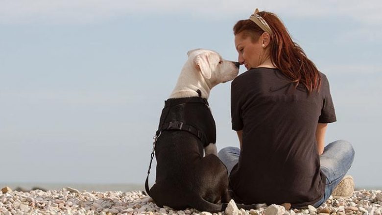 Qeni mund të nuhasë sulmin epileptik para se ai të ndodhë dhe kështu t’jua shpëtojë jetën