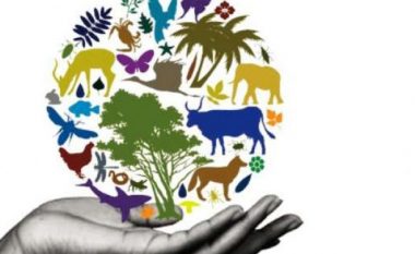 Në Kosovë shënohet Dita Botërore e Biodiversitetit