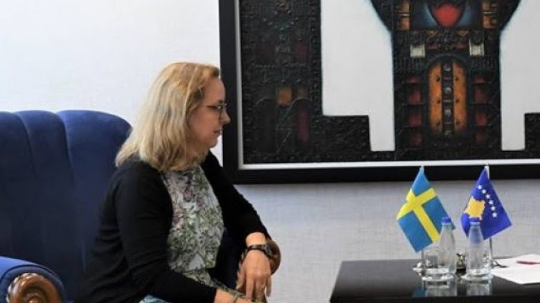 Ambasadorja suedeze merr pjesë në Komisionin për Shëndetësi