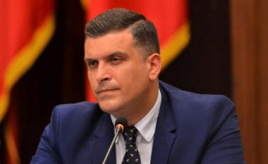 Reagon zëdhënësi i Presidentit të Shqipërisë, Tedi Blushi