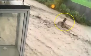 Rrebesh shiu në Rahovec, shihni se si uji “e merr me vete” një qytetar (Video)