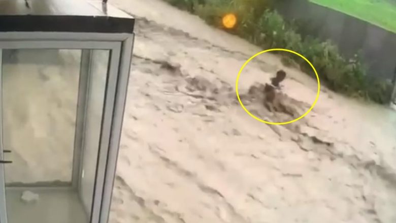 Rrebesh shiu në Rahovec, shihni se si uji “e merr me vete” një qytetar (Video)
