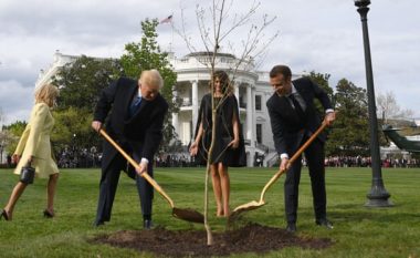 Çfarë ndodhi me pemën simbolike të miqësisë Trump-Macron, të mbjellë në Shtëpinë e Bardhë? (Foto)