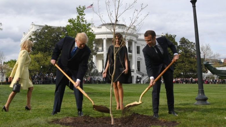 Çfarë ndodhi me pemën simbolike të miqësisë Trump-Macron, të mbjellë në Shtëpinë e Bardhë? (Foto)