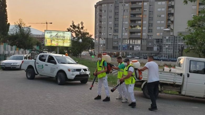 Nis dezinsektimi në Prizren