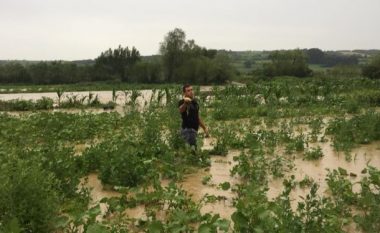 Smajl Latifi: Nga reshjet e mëdha të shiut kemi dëme në amvisëri dhe bujqësi