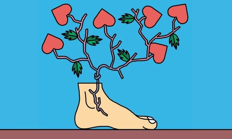 How to get rid of varicose veins naturally Telegraph Telegraph