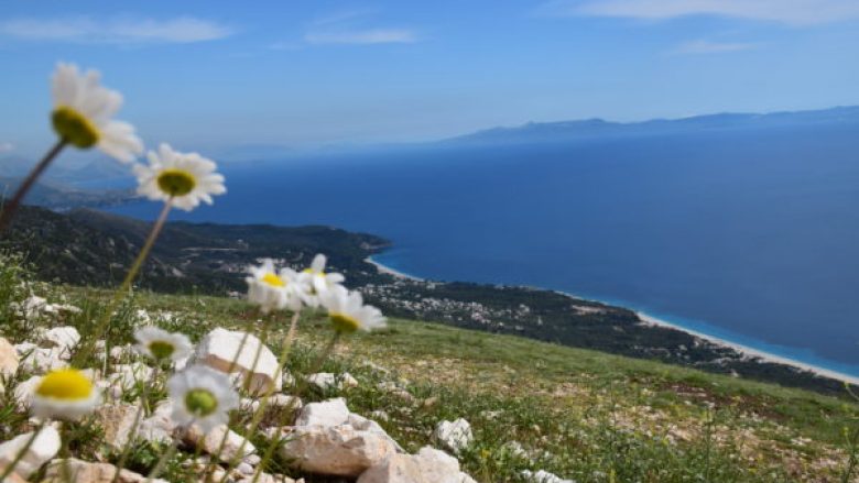 Moti sot në Shqipëri