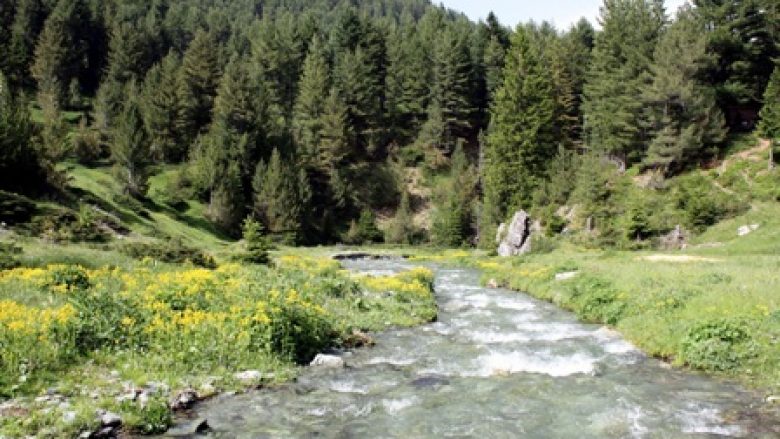 Në Junik protestohet kundër devijimit të rrjedhjes së lumit Erenik