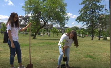 Mbjellin drunj në kampusin universitar për të shënuar diplomimin