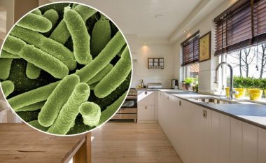 Ku ka më së shumti baktere në shtëpi?