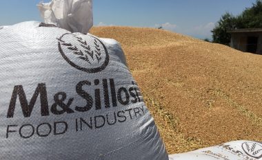 “M&Sillosi” garanton grurë e miell me bollëk këtë vit