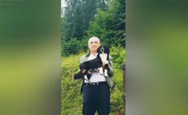 Presidenti Meta jep mesazhe me mace e qen: Zakonisht nuk shkojnë, por ky nuk është rasti