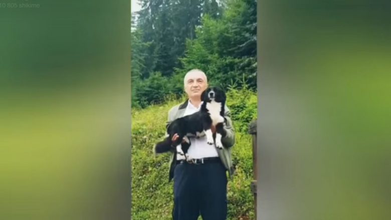 Presidenti Meta jep mesazhe me mace e qen: Zakonisht nuk shkojnë, por ky nuk është rasti